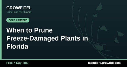 When to Prune Freeze-Damaged Plants in Florida - GrowFitFL Florida gardening