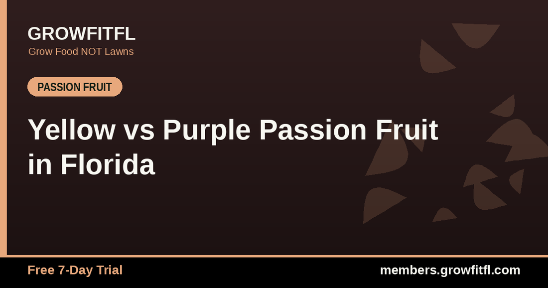 Yellow vs Purple Passion Fruit in Florida - GrowFitFL Florida gardening
