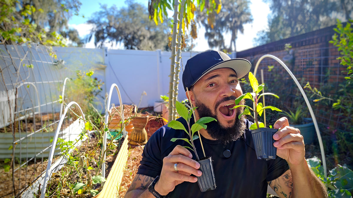 Jermaine Jefferson excited, holding two seedlings in his garden