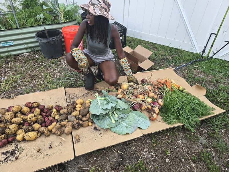 Toni with a fresh harvest of potatoes, onions, carrots and greens laid out beside a raised garden bed