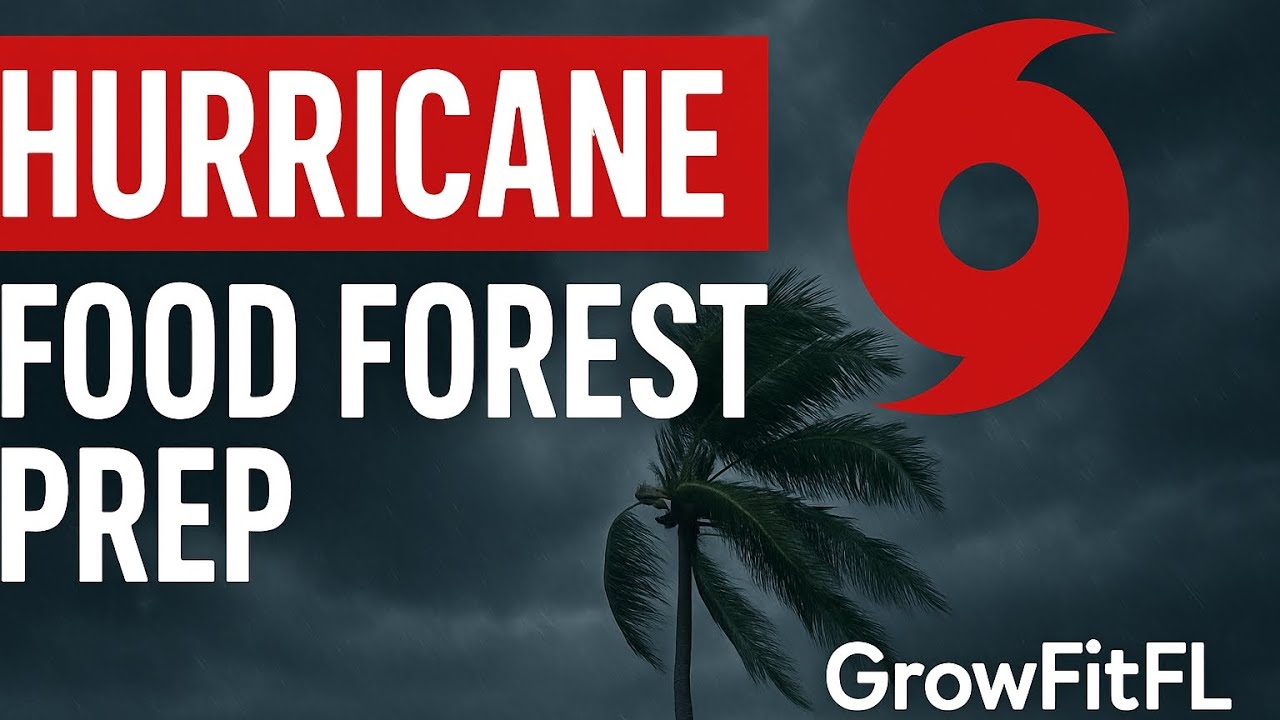 Load video: Hurricane food forrest prep